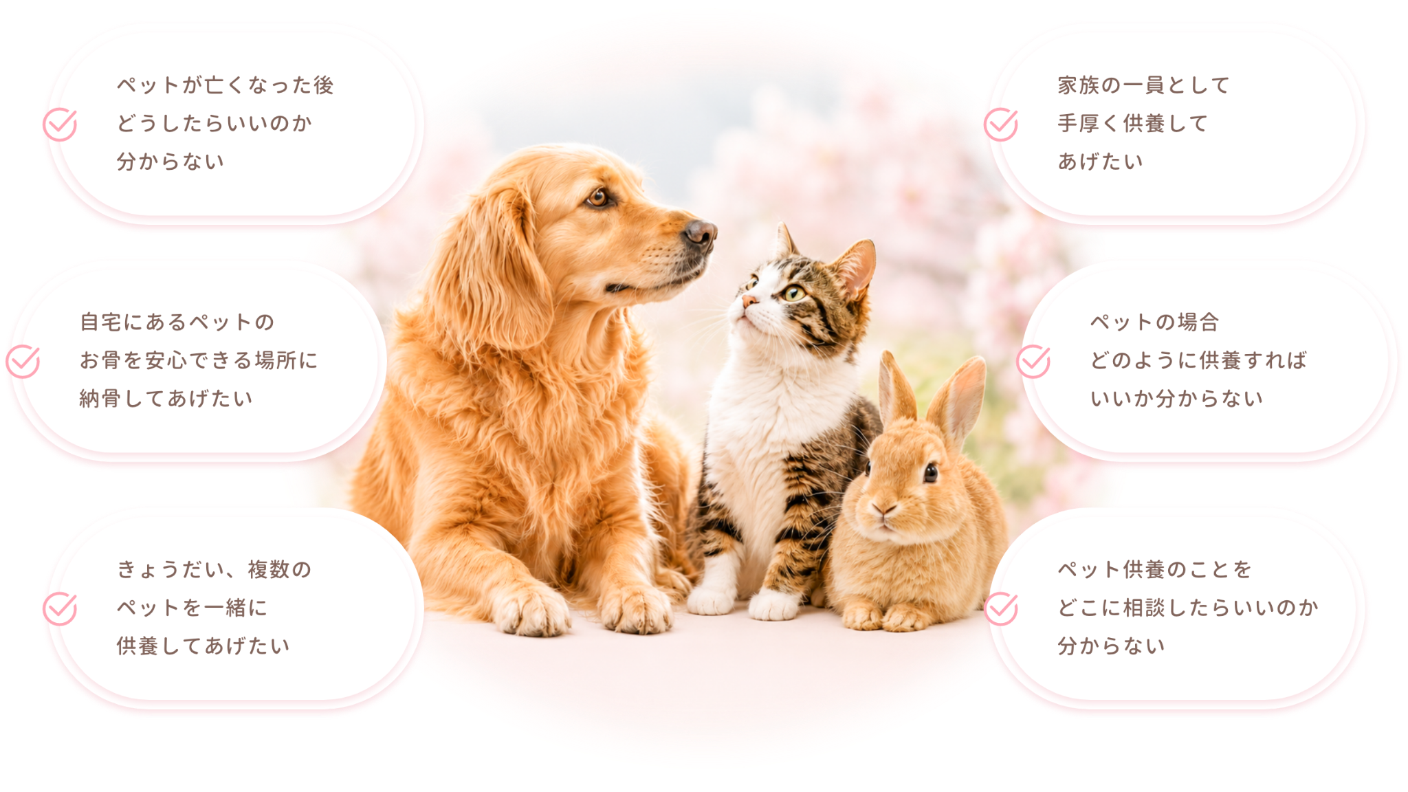 ペット供養に関するお悩みのイメージ